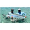 Image 2 : Florida Tarpon Fishing Trip