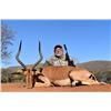 Image 2 : South Africa Blue Wilderbeest, Zebra, Impala, Blesbuck