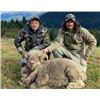 Image 2 : Patagonia Argentina Big Game Hunt for 4 Hunters