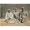 Image 4 : Mexico Coues Deer Hunt