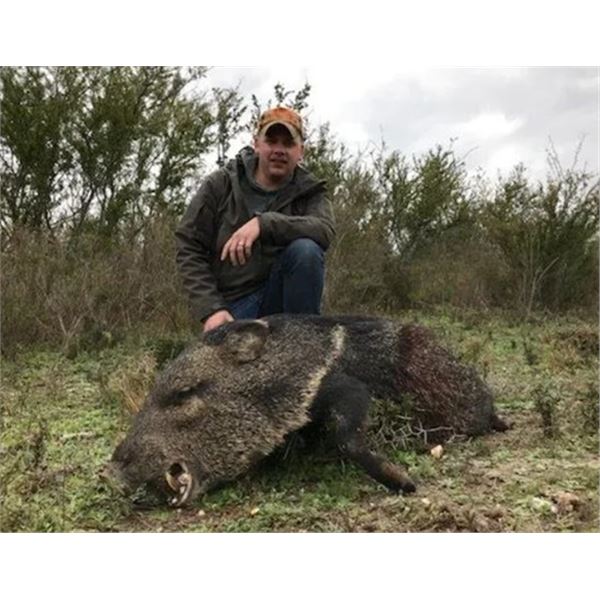 Javelina Hunt for 2
