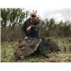 Image 1 : Javelina Hunt for 2