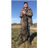 Image 2 : Javelina Hunt for 2