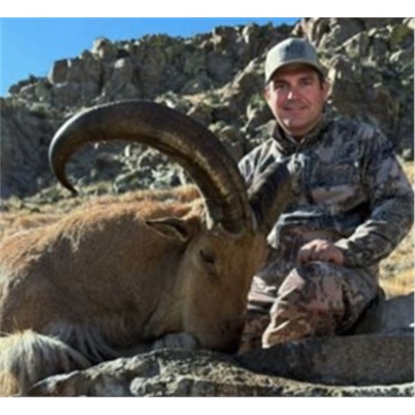 Mexico Trophy Aoudad Hunt for 2 Hunters