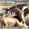 Image 2 : Mexico Trophy Aoudad Hunt for 2 Hunters