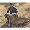 Image 3 : Mexico Trophy Aoudad Hunt for 2 Hunters