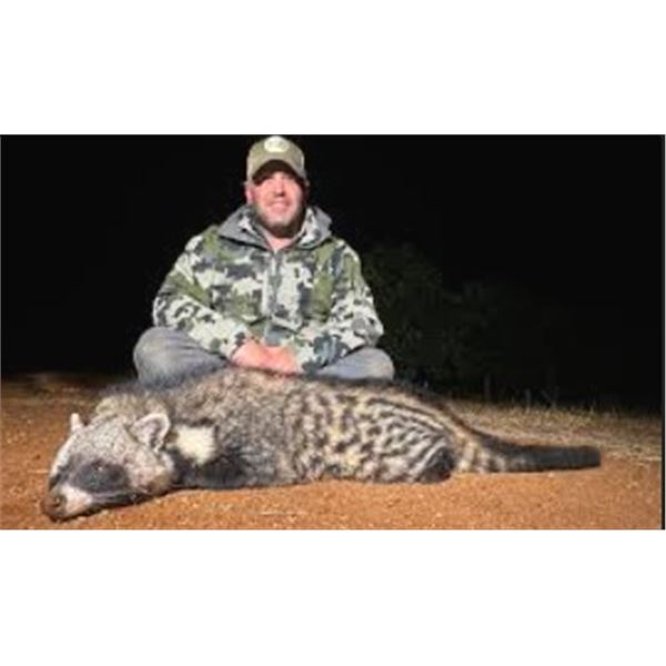 6 Day South Africa - Night Hunt for Civet, Genet, Gray Duiker, Bushpig + $1k Taxidermy Package