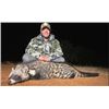 Image 1 : 6 Day South Africa - Night Hunt for Civet, Genet, Gray Duiker, Bushpig + $1k Taxidermy Package