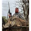 Image 2 : 6 Day South Africa - Night Hunt for Civet, Genet, Gray Duiker, Bushpig + $1k Taxidermy Package