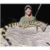 Image 3 : 6 Day South Africa - Night Hunt for Civet, Genet, Gray Duiker, Bushpig + $1k Taxidermy Package