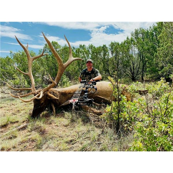 New Mexico Archery Elk for 2 hunters