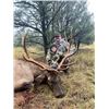 Image 3 : New Mexico Archery Elk for 2 hunters