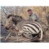 Image 2 : Namibia Hartmanns Zebra and Gemsbuck Hunt