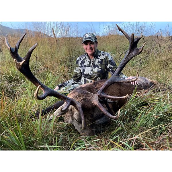 Ireland Free Range Red Stag and Sika or Fallow Deer