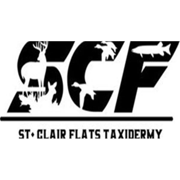 $500 Taxidermy Gift Certificate