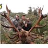 Image 1 : Spain Red Stag Hunt