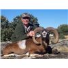 Image 1 : Spain Choice of Fallow Deer, Mouflon or Roe Deer