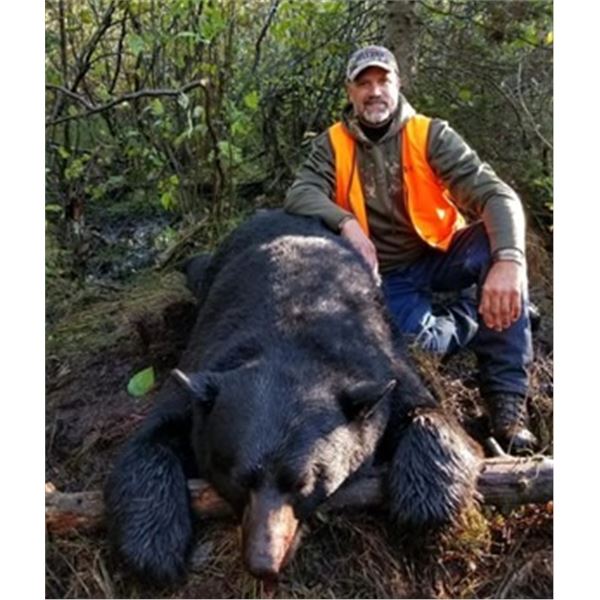 3 Day Michigan Upper Peninsula Black Bear/Hound Hunt by Blue Plague Guide Service