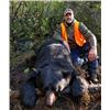 Image 1 : 3 Day Michigan Upper Peninsula Black Bear/Hound Hunt by Blue Plague Guide Service