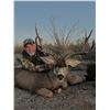 Image 6 : 6 Day Sonora, Mexico Mule Deer Hunt