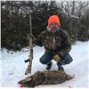 Image 2 : MICHIGAN – 1 NIGHT THERMAL COYOTE HUNT FOR 2 HUNTERS