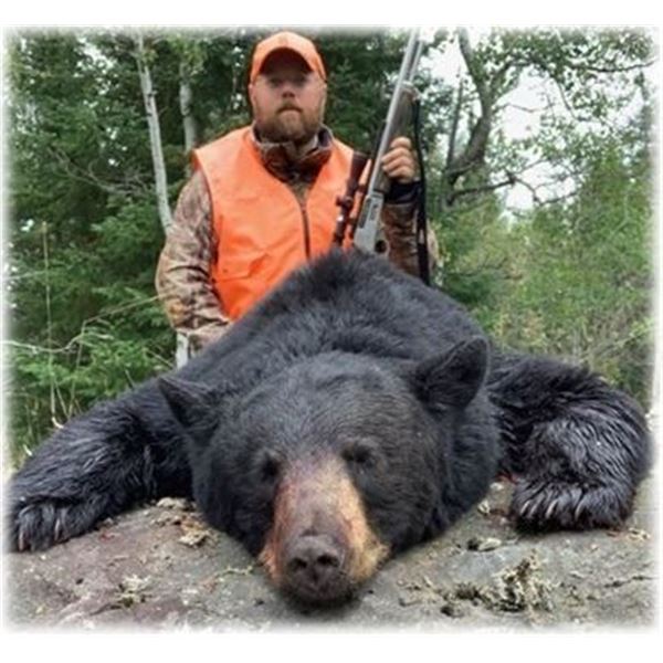 Northern Ontario, Canada - 1 Hunter for a 5-Day Black Bear Hunt