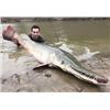 Image 1 : Texas Alligator Gar Fishing for 3