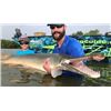 Image 2 : Texas Alligator Gar Fishing for 3