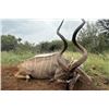 Image 1 : SOUTH AFRICA – 5 DAY KUDU SAFARI FOR 1 HUNTER & 1 OBSERVER
