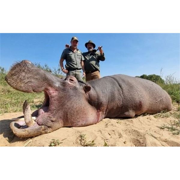 South Africa Hippo and Crocodile Hunt for 2