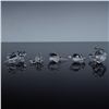 Image 3 : 5pc Swarovski Crystal Miniature Animal Figurines