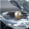 Image 3 : Swarovski Crystal Figurine, Large Shell with Pearl