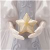 Image 3 : Lladro Porcelain Figurine Star Cantata 01008181