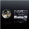 Image 4 : 5pc Swarovski Wonders of The Sea, Eternity, Plaque, Shells, & Paperweight