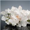 Image 9 : Quartz Crystal Cluster Mineral Specimen w/ Epidote & Hematite Inclusions