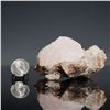 Image 10 : 2pc Mineral Specimens, Apophyllite and Blue Celestite