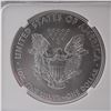 Image 4 : 2019 American Silver Eagle Type 1 NGC Graded MS 70