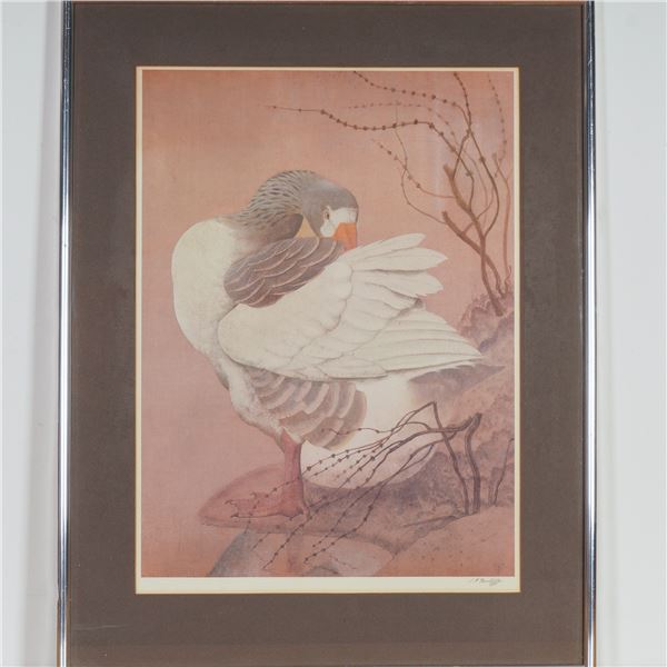 Charles Frederick Tunnicliffe, BKC Color Print, Greylag Goose, Signed