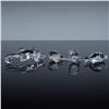 Image 3 : 4pc Swarovski Crystal Figurines, Kiwi Bird, Koala Bear, Sparrow and Alligat