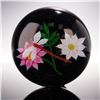 Image 1 : Caithness Crystal Paperweight Dragonfly and Flower Scotland