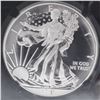 Image 2 : 2013-W American Silver Eagle $1 Coin NGC Graded SP70 Enhanced Finish