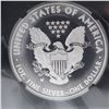 Image 4 : 2013-W American Silver Eagle $1 Coin NGC Graded SP70 Enhanced Finish