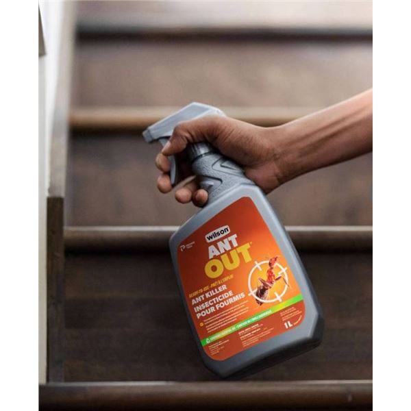 Wilson Ant Out Ready-to-Use Ant Killer Insecticide Spray, 1L (3 Bottles)