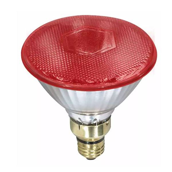 Lot of 6 Canarm Heat Lamp Light Bulbs 150 Watts, PAR38 Design