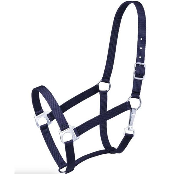 Horse Halter Eco, Full Size, Navy Lot of 4