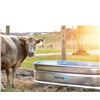 Image 1 : Tarter Oval Mega 300 Gallon Galvanized Steel Livestock Trough