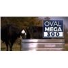Image 1 : Tarter Oval Mega 300 Gallon Galvanized Steel Livestock Trough