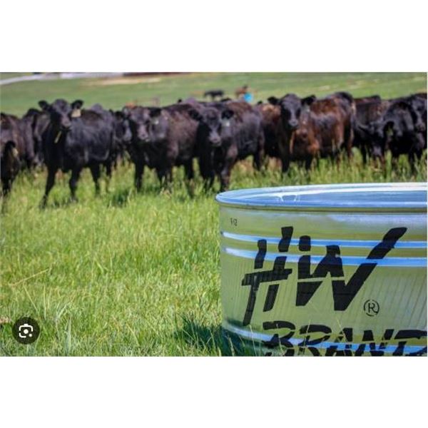 HW Brand Round Stock Tank Model T-82, 8′ Diameter, 2′ Depth