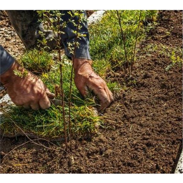 PALLET LOT-Approx. 26 Bags of Altwins  Potting Mix and Soil Varieties – CRATE NOT IN