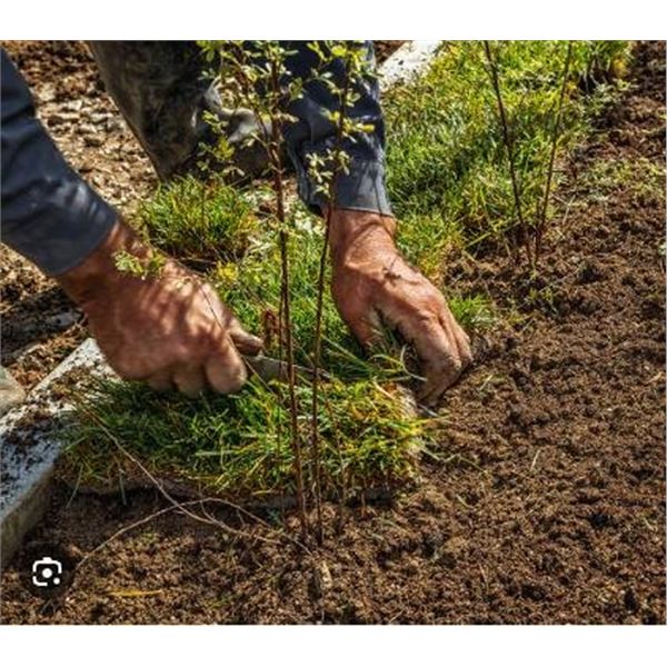 PALLET LOT-Approx. 26 Bags of Altwins  Potting Mix and Soil Varieties – CRATE NOT IN